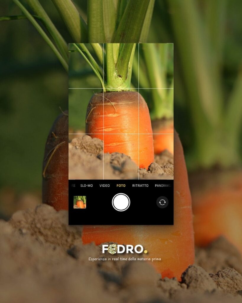 JOULE MARKETING - Fedro Gusto Autentico - 15