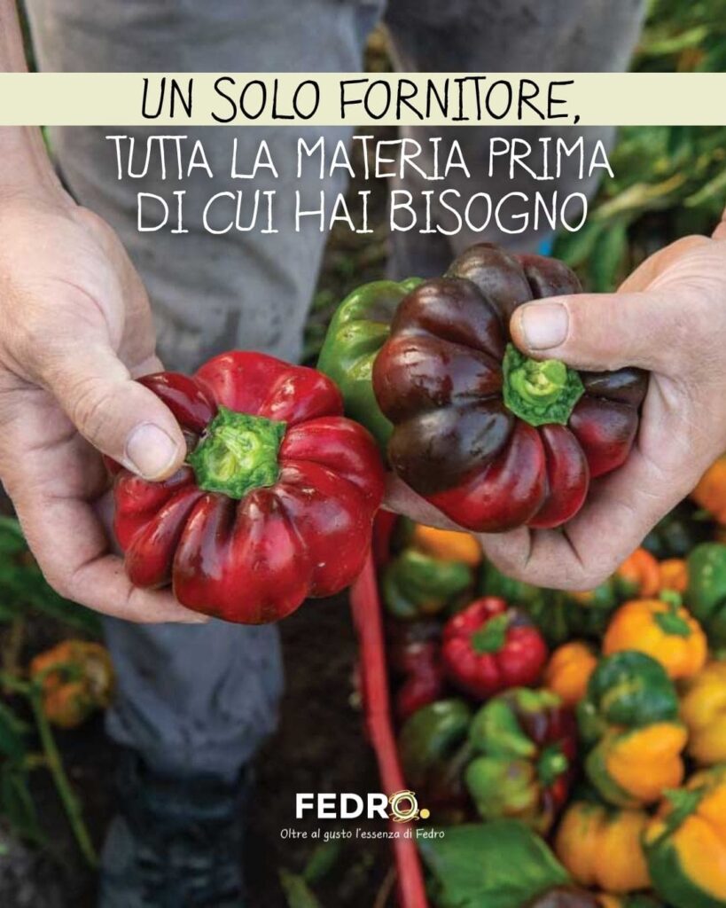 JOULE MARKETING - Fedro Gusto Autentico - 2